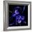 Blue Cornflowers-Magda Indigo-Framed Photographic Print