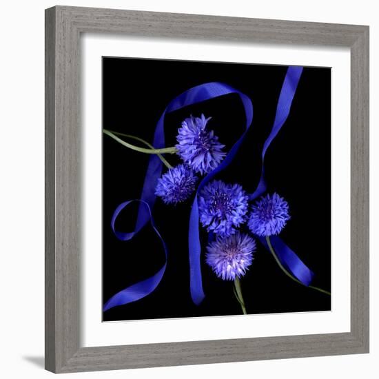 Blue Cornflowers-Magda Indigo-Framed Photographic Print