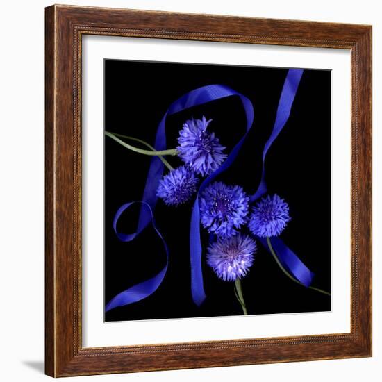 Blue Cornflowers-Magda Indigo-Framed Photographic Print