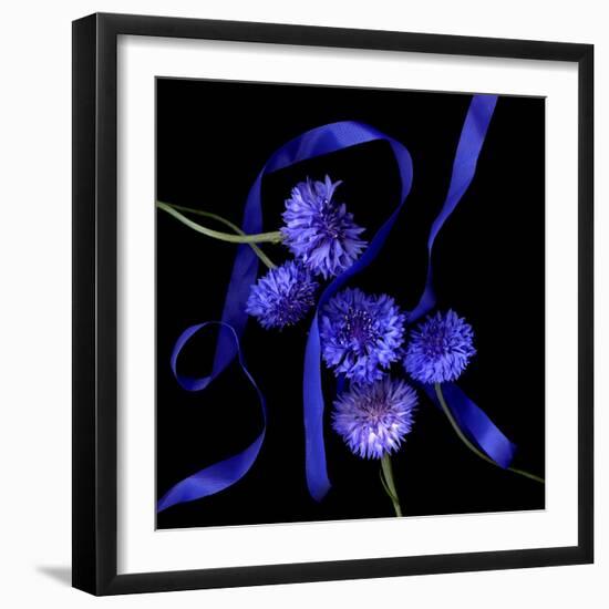 Blue Cornflowers-Magda Indigo-Framed Photographic Print