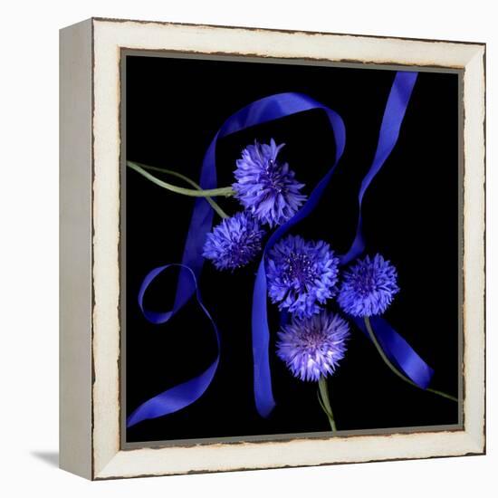 Blue Cornflowers-Magda Indigo-Framed Premier Image Canvas