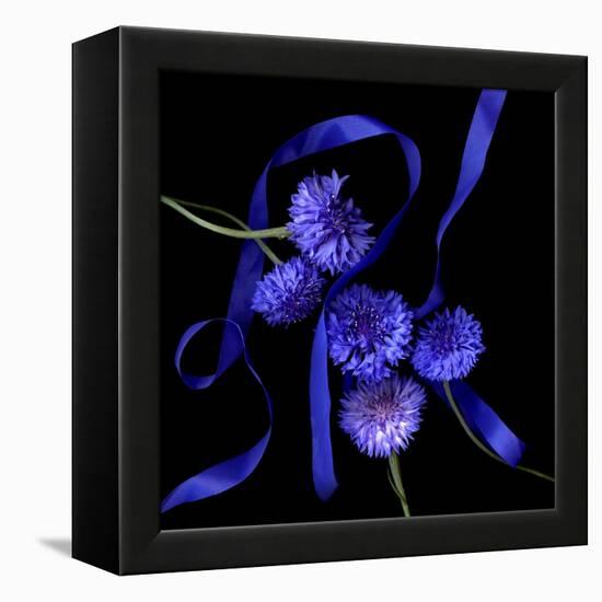 Blue Cornflowers-Magda Indigo-Framed Premier Image Canvas