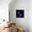 Blue Cornflowers-Magda Indigo-Framed Premier Image Canvas displayed on a wall