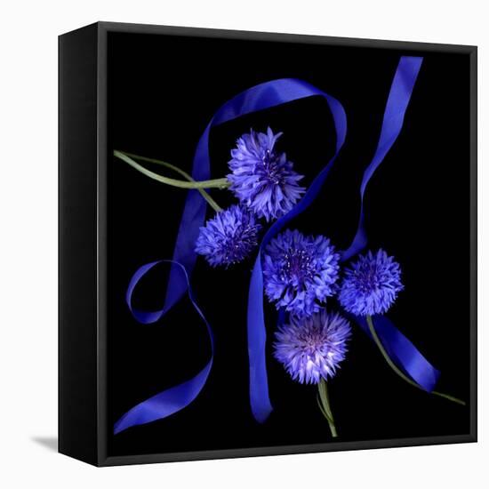 Blue Cornflowers-Magda Indigo-Framed Premier Image Canvas