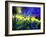 Blue cornflowers-Pol Ledent-Framed Art Print