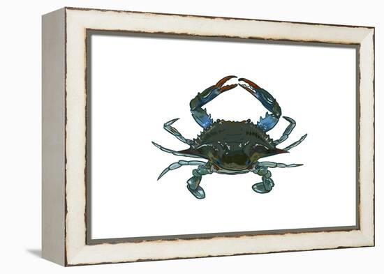 Blue Crab 1 - Icon-Lantern Press-Framed Stretched Canvas