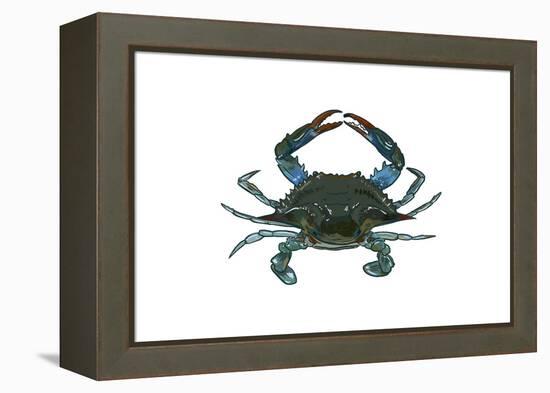 Blue Crab 1 - Icon-Lantern Press-Framed Stretched Canvas