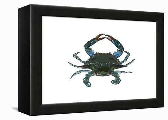 Blue Crab 1 - Icon-Lantern Press-Framed Stretched Canvas