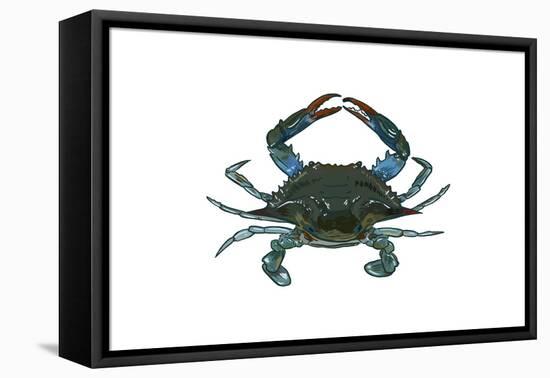 Blue Crab 1 - Icon-Lantern Press-Framed Stretched Canvas