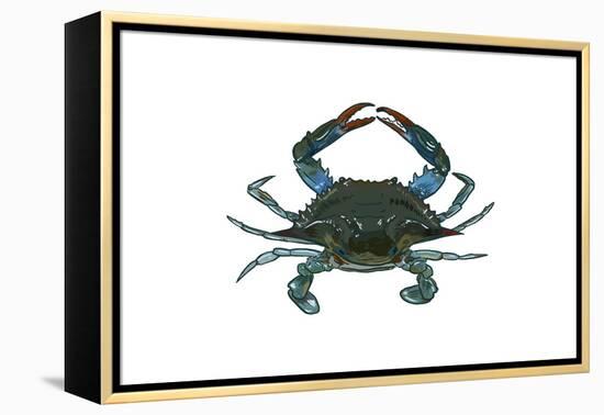 Blue Crab 1 - Icon-Lantern Press-Framed Stretched Canvas