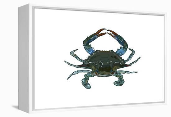 Blue Crab 1 - Icon-Lantern Press-Framed Stretched Canvas