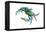 Blue Crab 2 - Icon-Lantern Press-Framed Stretched Canvas