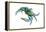 Blue Crab 2 - Icon-Lantern Press-Framed Stretched Canvas