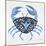 Blue-Crab-Artprint-Cat Coquillette-Mounted Giclee Print