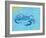 Blue Crab V-Phyllis Adams-Framed Art Print