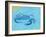 Blue Crab V-Phyllis Adams-Framed Art Print