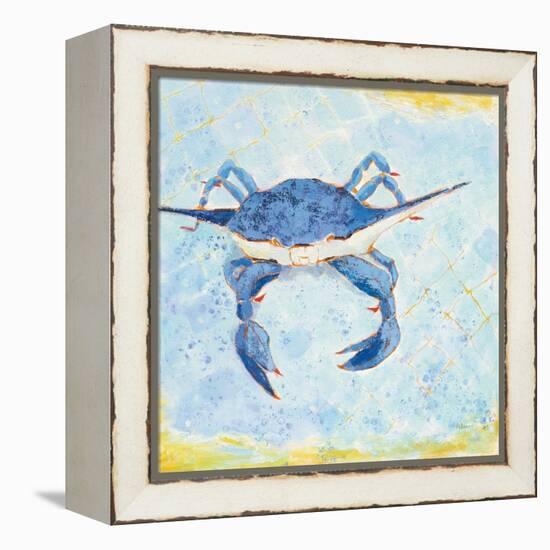 Blue Crab VI-Phyllis Adams-Framed Stretched Canvas