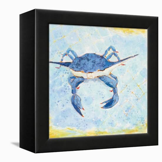 Blue Crab VI-Phyllis Adams-Framed Stretched Canvas