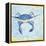 Blue Crab VI-Phyllis Adams-Framed Stretched Canvas