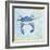 Blue Crab VI-Phyllis Adams-Framed Art Print