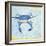 Blue Crab VI-Phyllis Adams-Framed Art Print