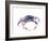 Blue Crab-Suren Nersisyan-Framed Art Print