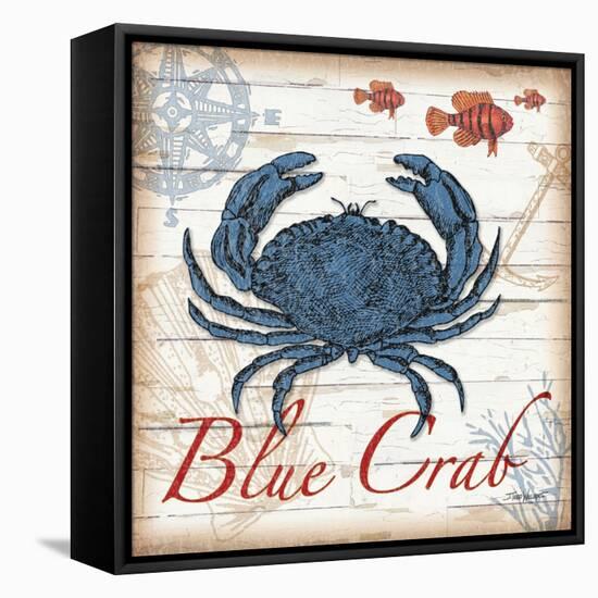 Blue Crab-Todd Williams-Framed Stretched Canvas