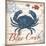Blue Crab-Todd Williams-Mounted Art Print