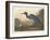 Blue Crane or Heron, 1836-John James Audubon-Framed Giclee Print