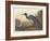 Blue Crane or Heron, 1836-John James Audubon-Framed Giclee Print