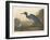 Blue Crane or Heron, 1836-John James Audubon-Framed Giclee Print