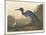 Blue Crane or Heron, 1836-John James Audubon-Mounted Giclee Print