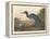 Blue Crane or Heron, 1836-John James Audubon-Framed Premier Image Canvas