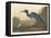 Blue Crane or Heron, 1836-John James Audubon-Framed Premier Image Canvas