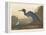 Blue Crane or Heron, 1836-John James Audubon-Framed Premier Image Canvas