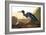 Blue Crane or Heron, from the Birds of America-John James Audubon-Framed Giclee Print