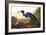 Blue Crane or Heron, from the Birds of America-John James Audubon-Framed Giclee Print