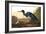 Blue Crane or Heron, from the Birds of America-John James Audubon-Framed Giclee Print