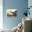 Blue Crane or Heron Plate 307-Porter Design-Premium Giclee Print displayed on a wall