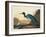 Blue Crane or Heron Plate 307-Porter Design-Framed Giclee Print