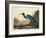 Blue Crane or Heron Plate 307-Porter Design-Framed Giclee Print