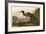 Blue Crane or Heron-John James Audubon-Framed Giclee Print