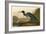 Blue Crane or Heron-John James Audubon-Framed Giclee Print