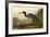 Blue Crane or Heron-John James Audubon-Framed Giclee Print