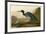 Blue Crane or Heron-John James Audubon-Framed Giclee Print