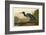 Blue Crane or Heron-John James Audubon-Framed Art Print