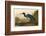 Blue Crane or Heron-John James Audubon-Framed Art Print