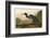 Blue Crane or Heron-John James Audubon-Framed Art Print