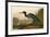 Blue Crane or Heron-John James Audubon-Framed Art Print