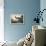Blue Crane or Heron-John James Audubon-Framed Premier Image Canvas displayed on a wall